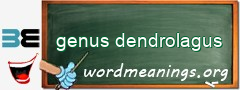 WordMeaning blackboard for genus dendrolagus